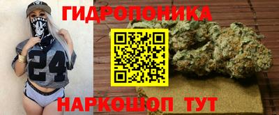 гидропоника Моздок